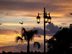 key west sunset postcard