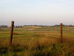 central california