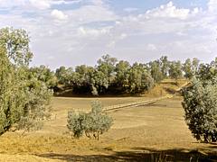 22. Fitzroy Crossing 22. Fitzroy Crossing