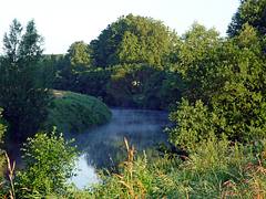Die Ems bei Greven