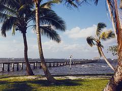 Fort Myers - Thomas Edison's Pier