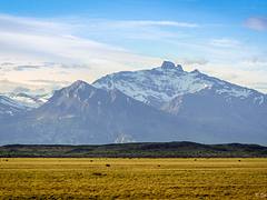 Fields and Mountains