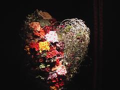 cuore di fiori