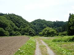 Country Roads