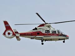 Yamagata Authorities AS365N2 (JA98YA/6533)