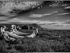 Gambell Landscape Gambell Landscape