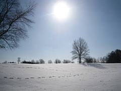 Shoaff Park in winter