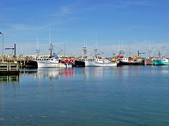 DGJ_3826 - Clark's Harbour