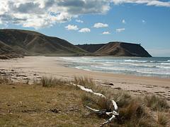 NorthIslandEastCoast