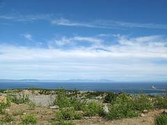 IMG_1259