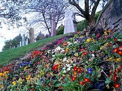 Glasgow Necropolis