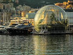 Genova per voi 5
