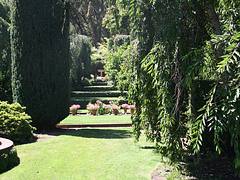 Filoli Gardens - Distant Vista