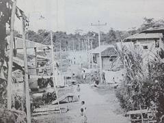 Subprograma de electrificación para la costa pacífica, en la imagen aparece el estado de la electrificación en el municipio de Guapi en el Cauca. CVC. Informe de actividades 1983, No. 84-3, Cali, Corporación Autónoma Regional del Cauca, abril de 1984.