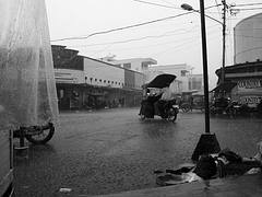 Downpour