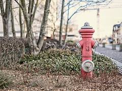 Hydrant