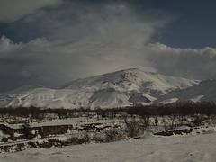 P2021507