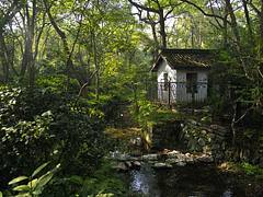A litle house in Hangzhou