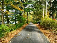 Worthington State Forest