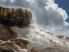 Mammoth Hot Springs - Minerva Terrace
