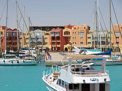 IMG_5459