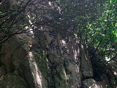 万众共仰