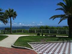 IMG_0008