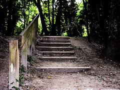 The Steps