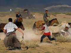 Throwing a Lasso