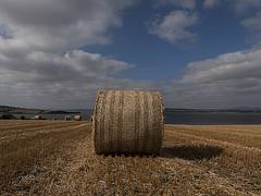 Hay Roll