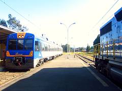 Un corto v/s un largo tren... (BioTren v/s FEPASA en Lautaro)