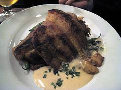 korhogo 126 flounder