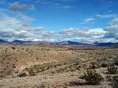 2010-02-07_16-29-15 2010-02-07_16-29-15