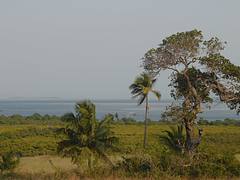 Inhambane gulf Inhambane gulf