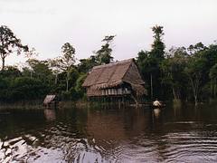House on the Amazon