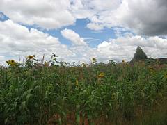 IMG_1145
