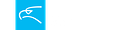 Авиакомпания Interjet