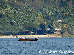 In the tropical waters...
