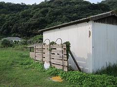IMG_4501-2.jpg