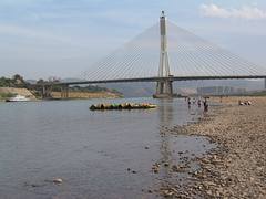 IMG_0260