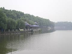 IMGP3192