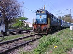 WDM2 16772 [KATNI] WCR