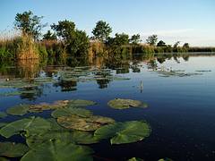 Lithuania Nature