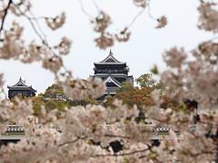 Kumamoto-jo(Castle) / 熊本城(くまもとじょう)