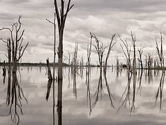 Morning Reflections on Lake Kariba