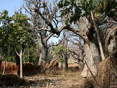 Old Birnin Gwari Old Birnin Gwari