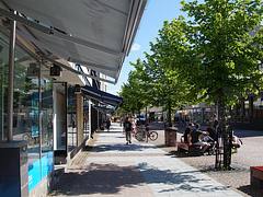 DSC06638