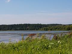 Neman near Merkine/Nemunas prie Merkinės