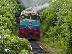 Ruhunu Kumari Express Train