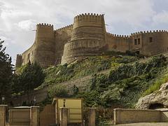 IMG_7495